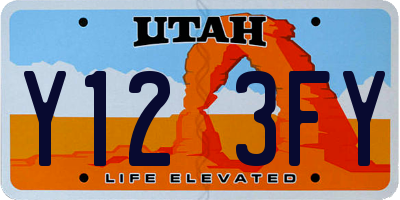 UT license plate Y123FY