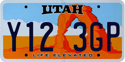 UT license plate Y123GP