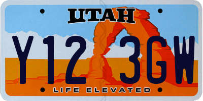 UT license plate Y123GW