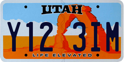 UT license plate Y123IM