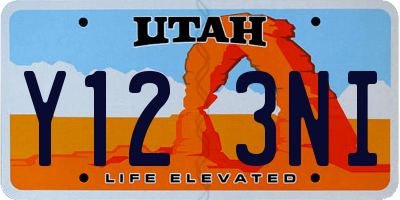 UT license plate Y123NI
