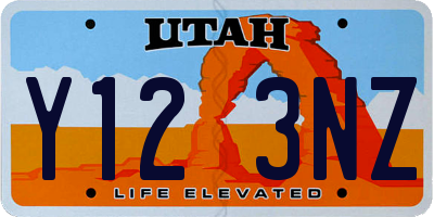 UT license plate Y123NZ