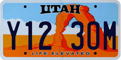UT license plate Y123OM