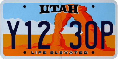 UT license plate Y123OP