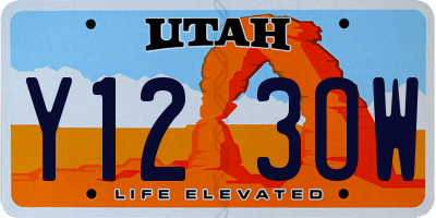 UT license plate Y123OW