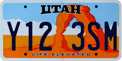 UT license plate Y123SM