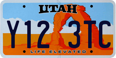 UT license plate Y123TC