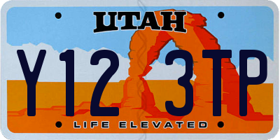 UT license plate Y123TP