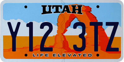 UT license plate Y123TZ