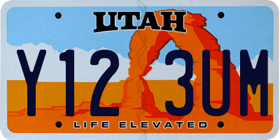 UT license plate Y123UM