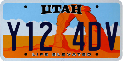 UT license plate Y124DV
