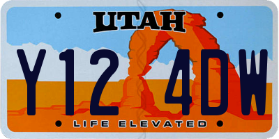 UT license plate Y124DW