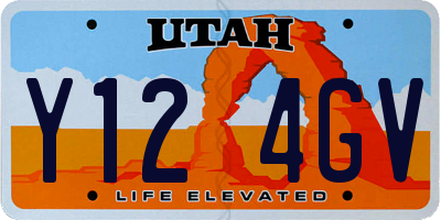 UT license plate Y124GV