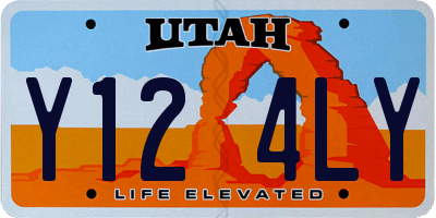 UT license plate Y124LY