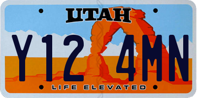 UT license plate Y124MN