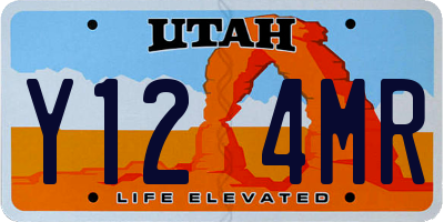 UT license plate Y124MR