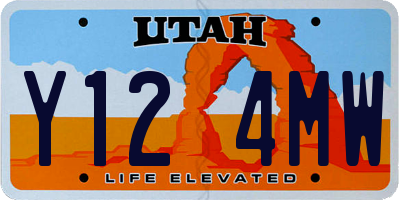 UT license plate Y124MW