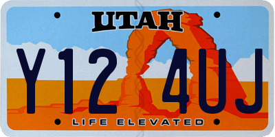 UT license plate Y124UJ