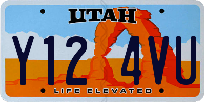 UT license plate Y124VU