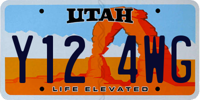 UT license plate Y124WG