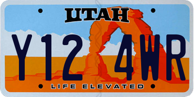 UT license plate Y124WR