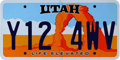 UT license plate Y124WV