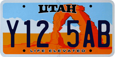 UT license plate Y125AB