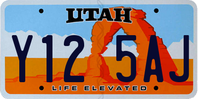 UT license plate Y125AJ