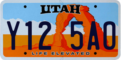 UT license plate Y125AO