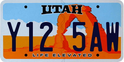 UT license plate Y125AW