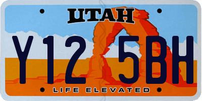 UT license plate Y125BH