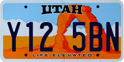 UT license plate Y125BN