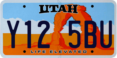 UT license plate Y125BU