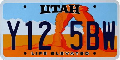 UT license plate Y125BW