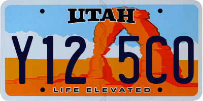 UT license plate Y125CO