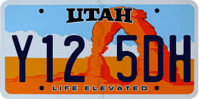 UT license plate Y125DH