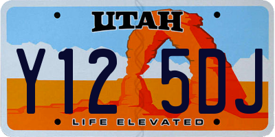 UT license plate Y125DJ