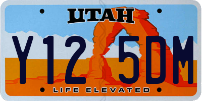 UT license plate Y125DM