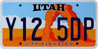 UT license plate Y125DP