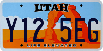 UT license plate Y125EG