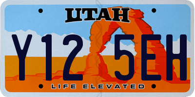 UT license plate Y125EH