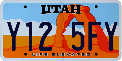 UT license plate Y125FY