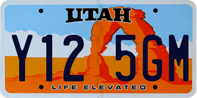 UT license plate Y125GM