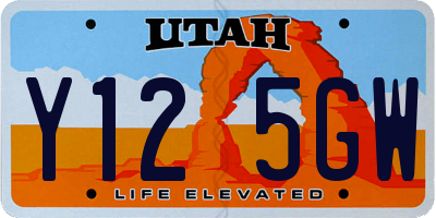UT license plate Y125GW