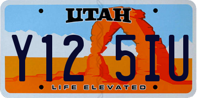 UT license plate Y125IU