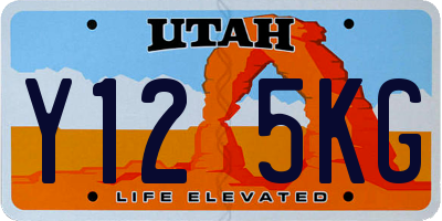 UT license plate Y125KG