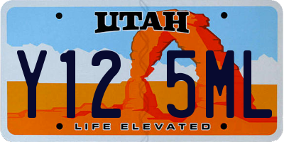 UT license plate Y125ML
