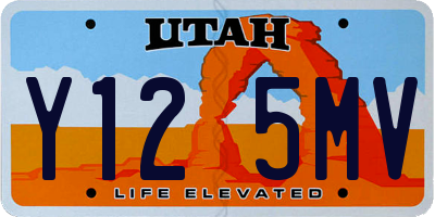 UT license plate Y125MV