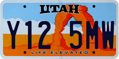 UT license plate Y125MW