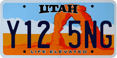 UT license plate Y125NG
